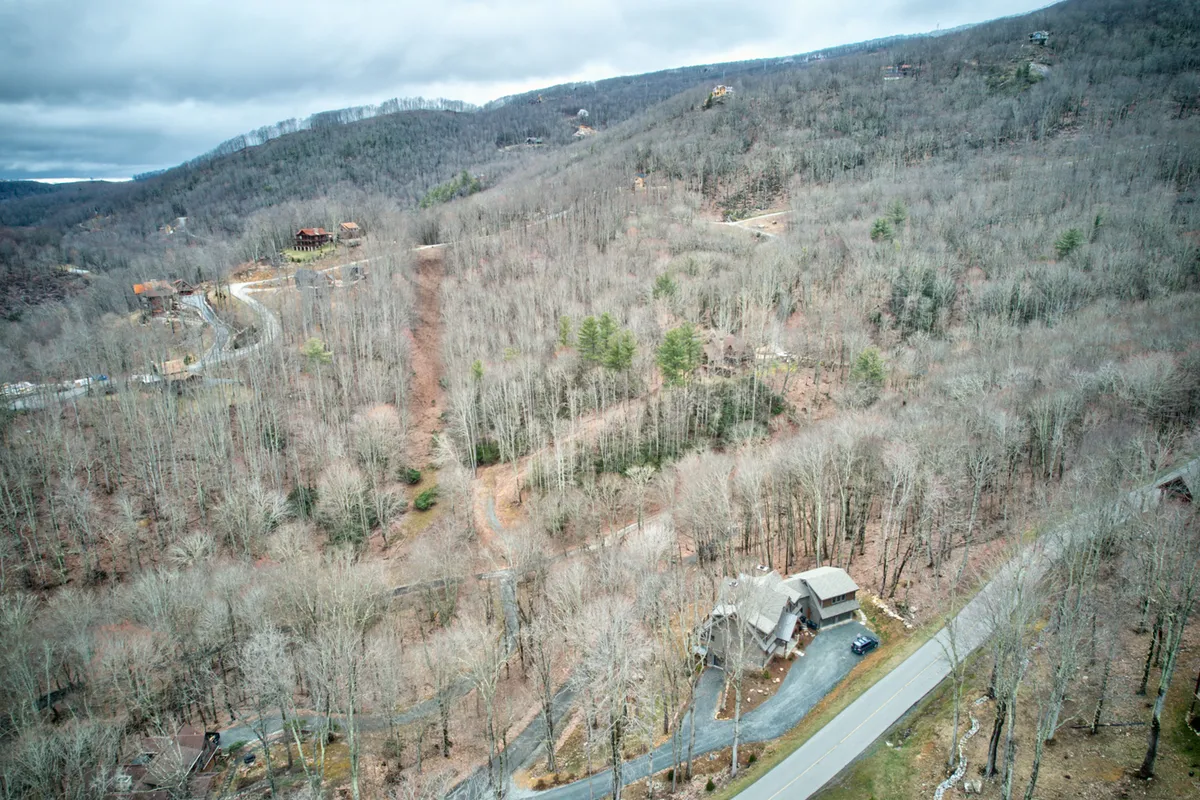 The lodge is nestled amidst tall trees along a winding road, highlighting the tranquil natural setting. The house stands as an inviting base for exploration, surrounded by the forest, perfect for hiking, nature walks, and quiet retreats after a day of activity.